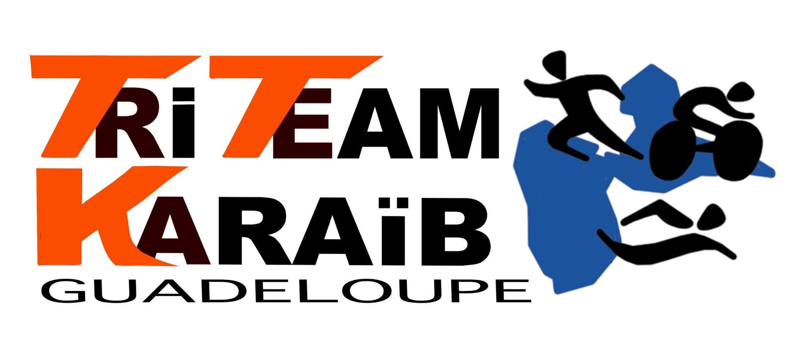 Ttkgd logo orange noir bleu